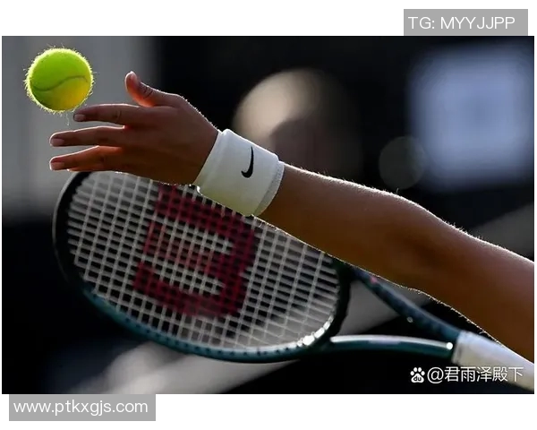 网球新手必看:从零基础到实力提升的全面入门指南 网球新手必看:从零基础到实力提升的全面入门指南