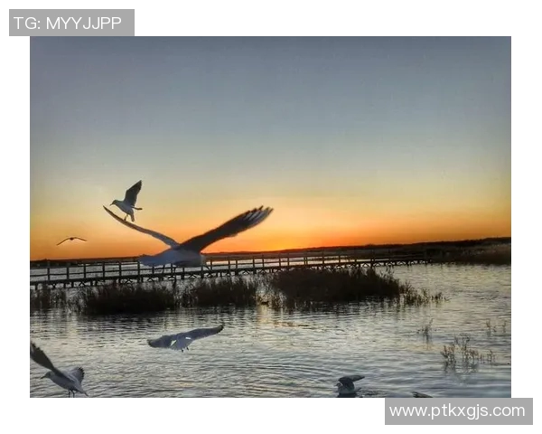 足球明星的青春女友:那些年我们一起追逐的梦想与爱情 足球明星的青春女友:那些年我们一起追逐的梦想与爱情