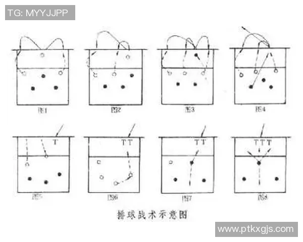 上海排球队进攻体系解析:高效战术与团队配合的完美结合 上海排球队进攻体系解析:高效战术与团队配合的完美结合