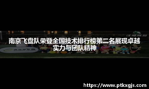 南京飞盘队荣登全国技术排行榜第二名展现卓越实力与团队精神