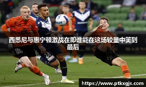 乐鱼体育平台